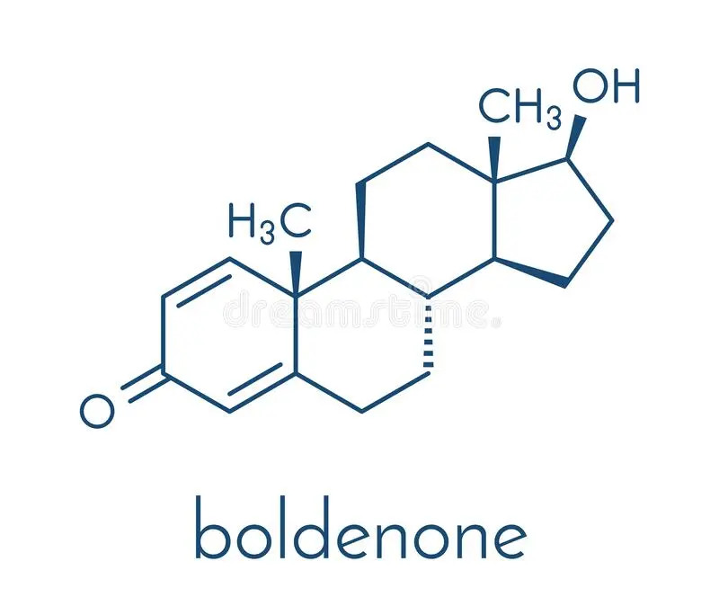 boldenone-anabolic-steroid-chemical-structure-skeletal-formula-boldenone-anabolic-steroid-chemical-structure-skeletal-formula-steroidsites.steroidsites.ced10